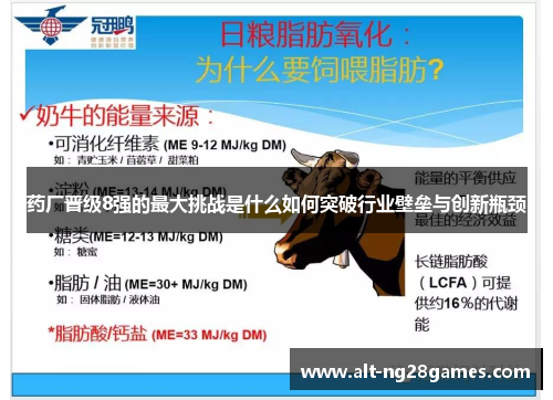 药厂晋级8强的最大挑战是什么如何突破行业壁垒与创新瓶颈