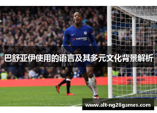 巴舒亚伊使用的语言及其多元文化背景解析